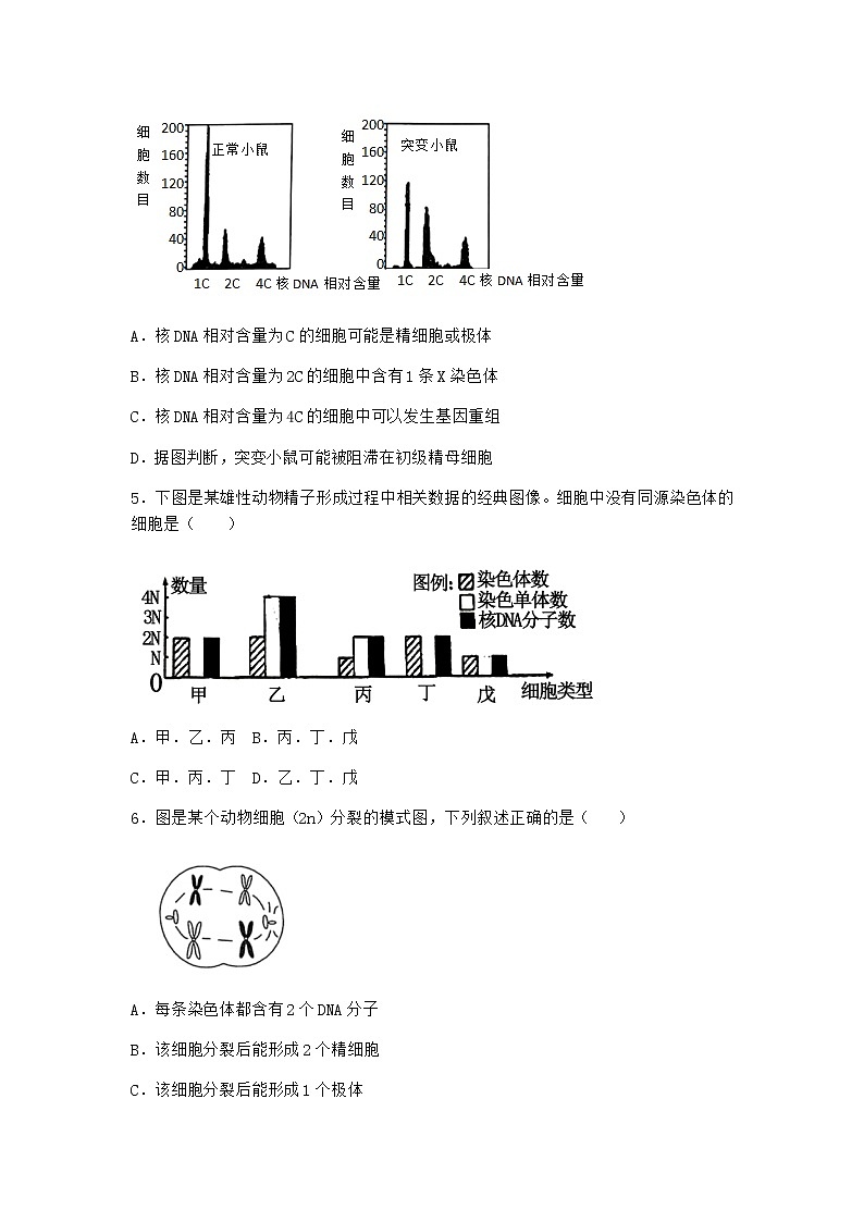 人教版高中生物必修2二受精作用作业含答案2第2页