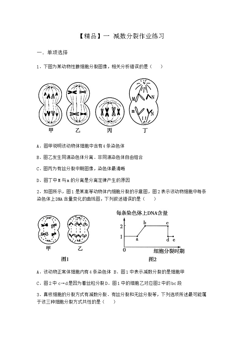 人教版高中生物必修2一减数分裂作业含答案4第1页