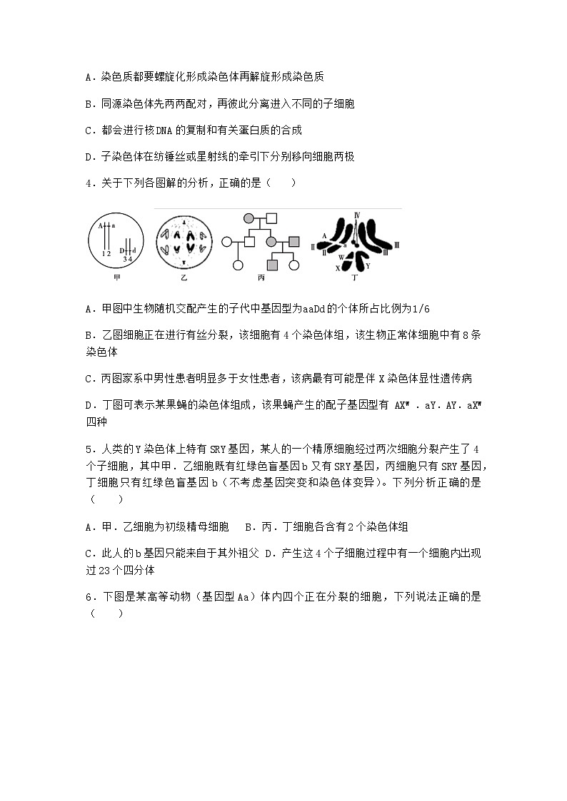 人教版高中生物必修2一减数分裂作业含答案4第2页