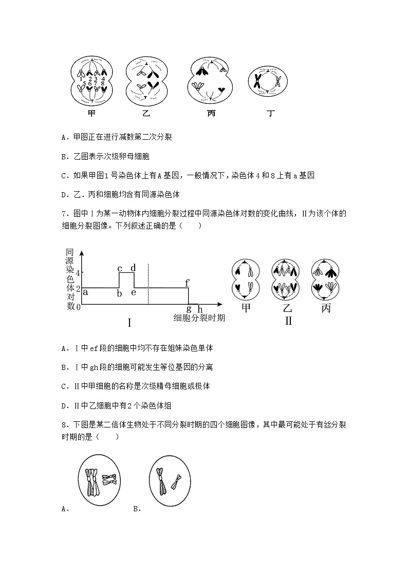 人教版高中生物必修2一减数分裂作业含答案4第3页
