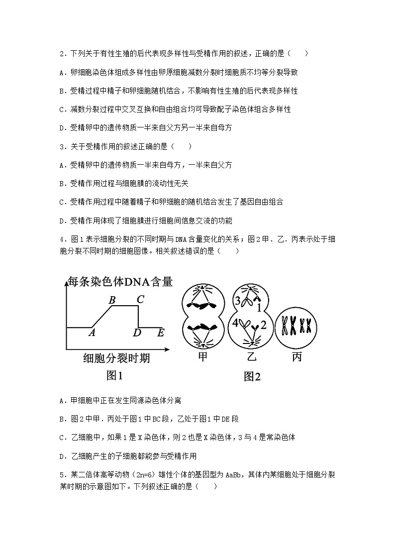 人教版高中生物必修2一减数分裂作业含答案502