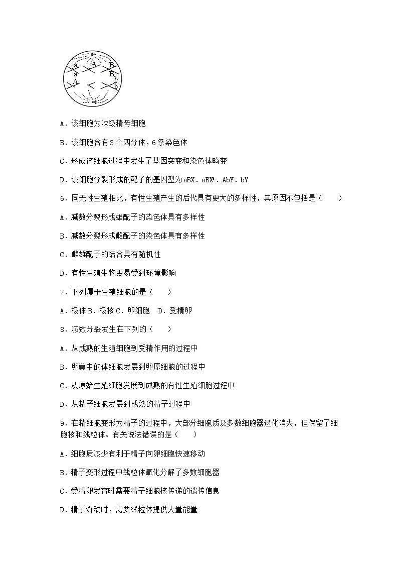 人教版高中生物必修2一减数分裂作业含答案503