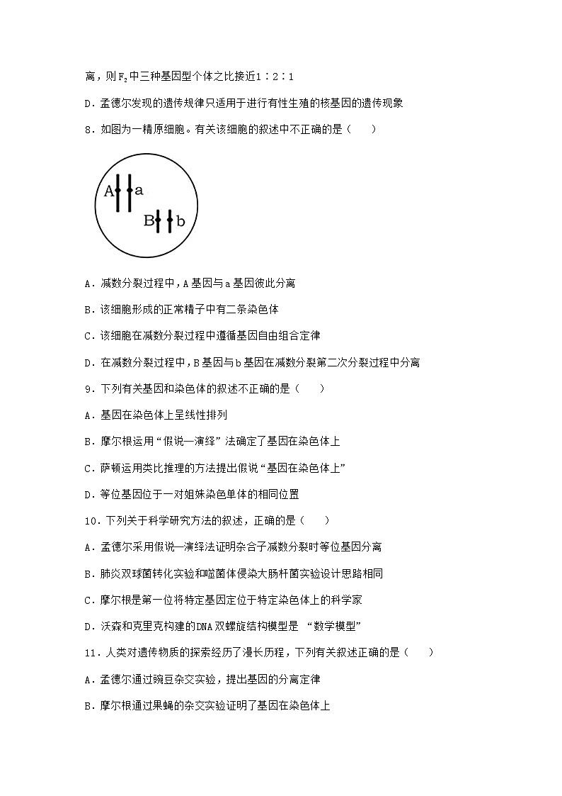 人教版高中生物必修2第2节基因在染色体上作业含答案303