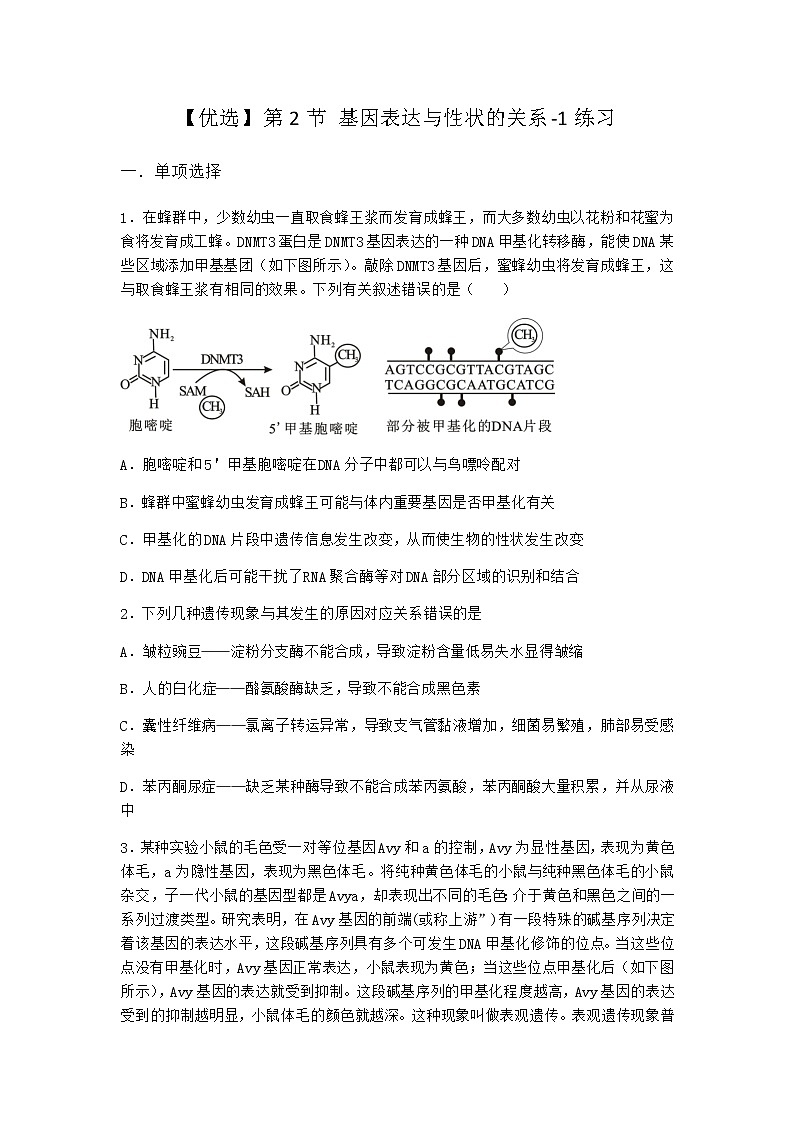 人教版高中生物必修2第2节基因表达与性状的关系作业含答案4第1页