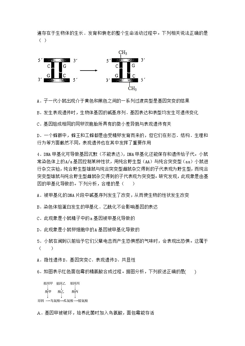 人教版高中生物必修2第2节基因表达与性状的关系作业含答案4第2页