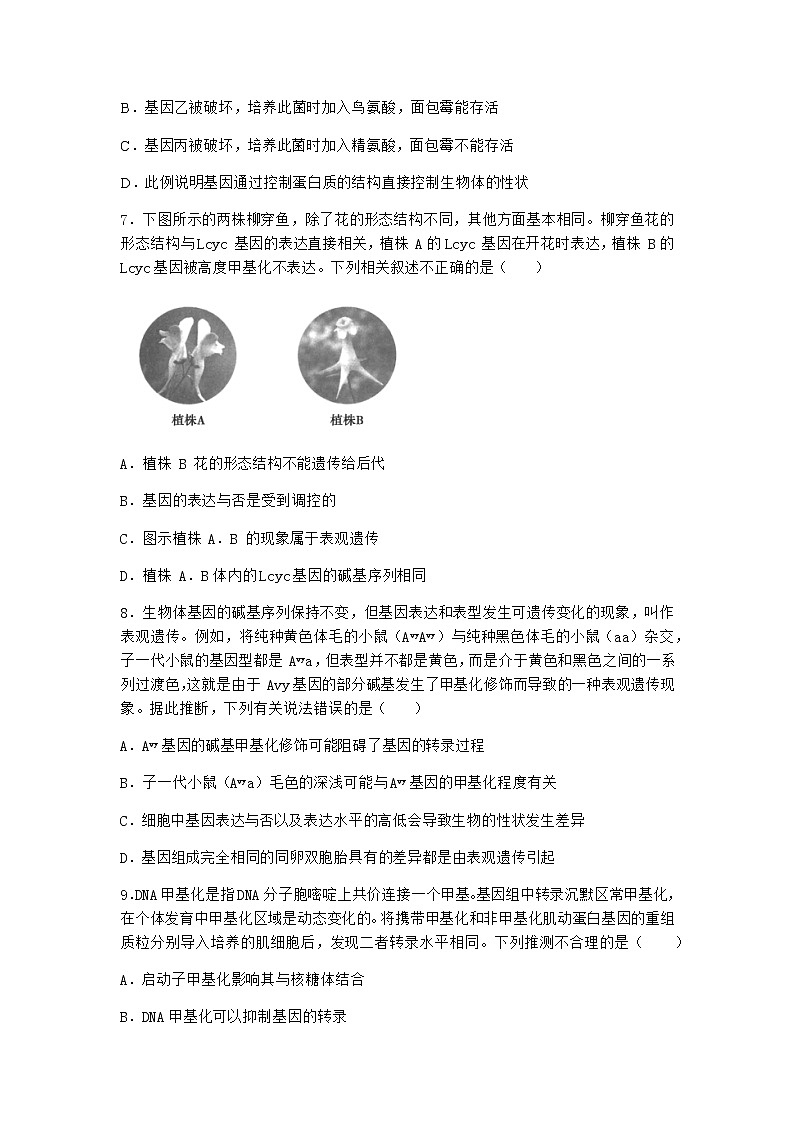 人教版高中生物必修2第2节基因表达与性状的关系作业含答案4第3页