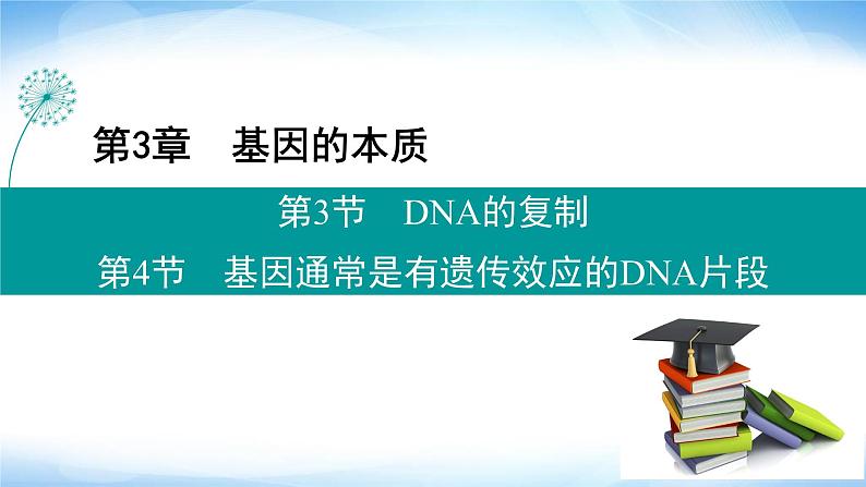 人教版高中生物必修二基因通常是有遗传效应的DNA片段课件101
