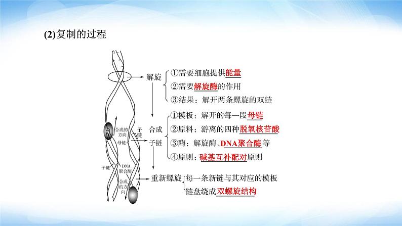 人教版高中生物必修二基因通常是有遗传效应的DNA片段课件108