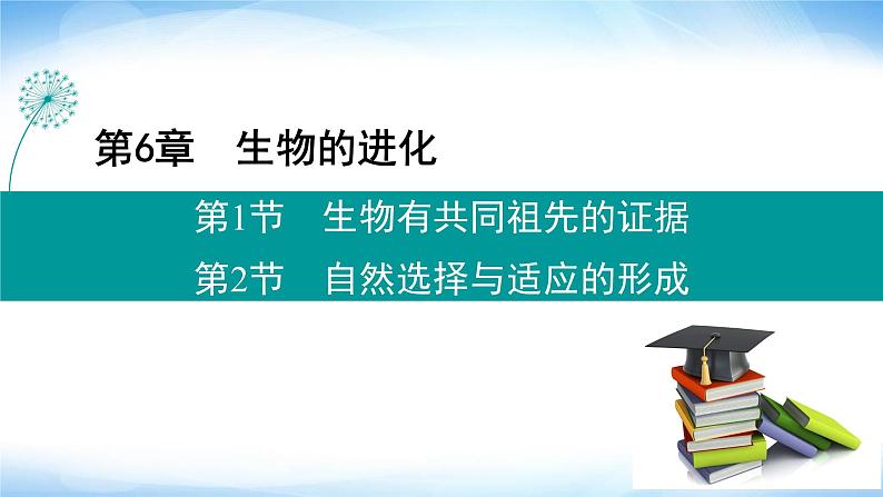 人教版高中生物必修二生物有共同祖先的证据自然选择与适应的形成课件第1页
