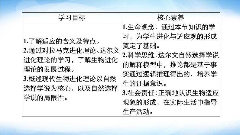 人教版高中生物必修二自然选择与适应的形成课件第2页