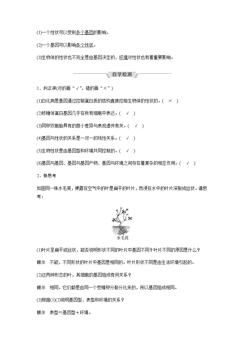 人教版高中生物必修二基因表达与性状的关系学案第3页