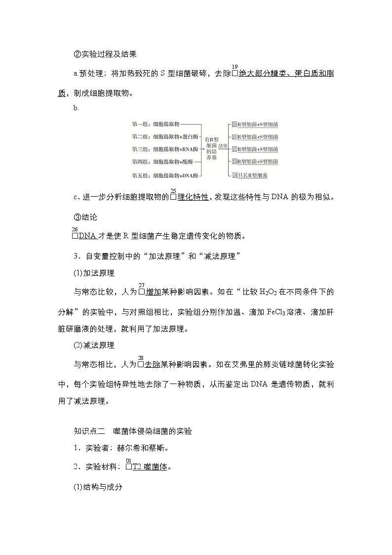 人教版高中生物必修二DNA是主要的遗传物质学案03