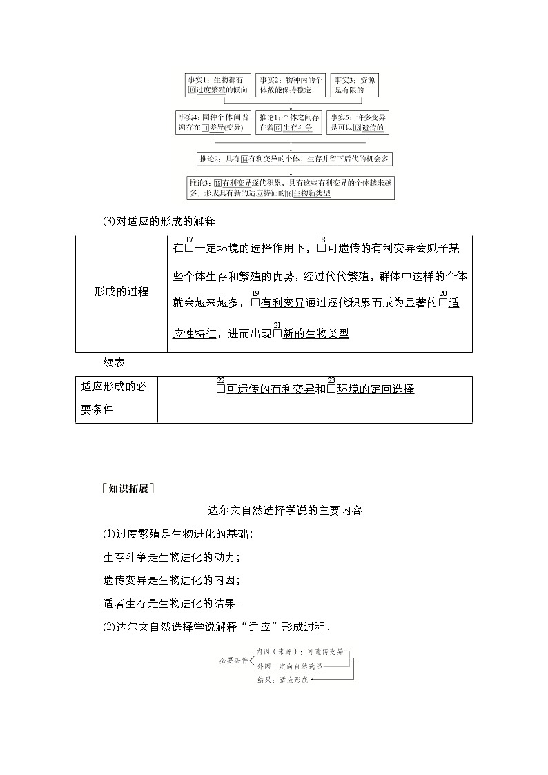 人教版高中生物必修二自然选择与适应的形成学案03
