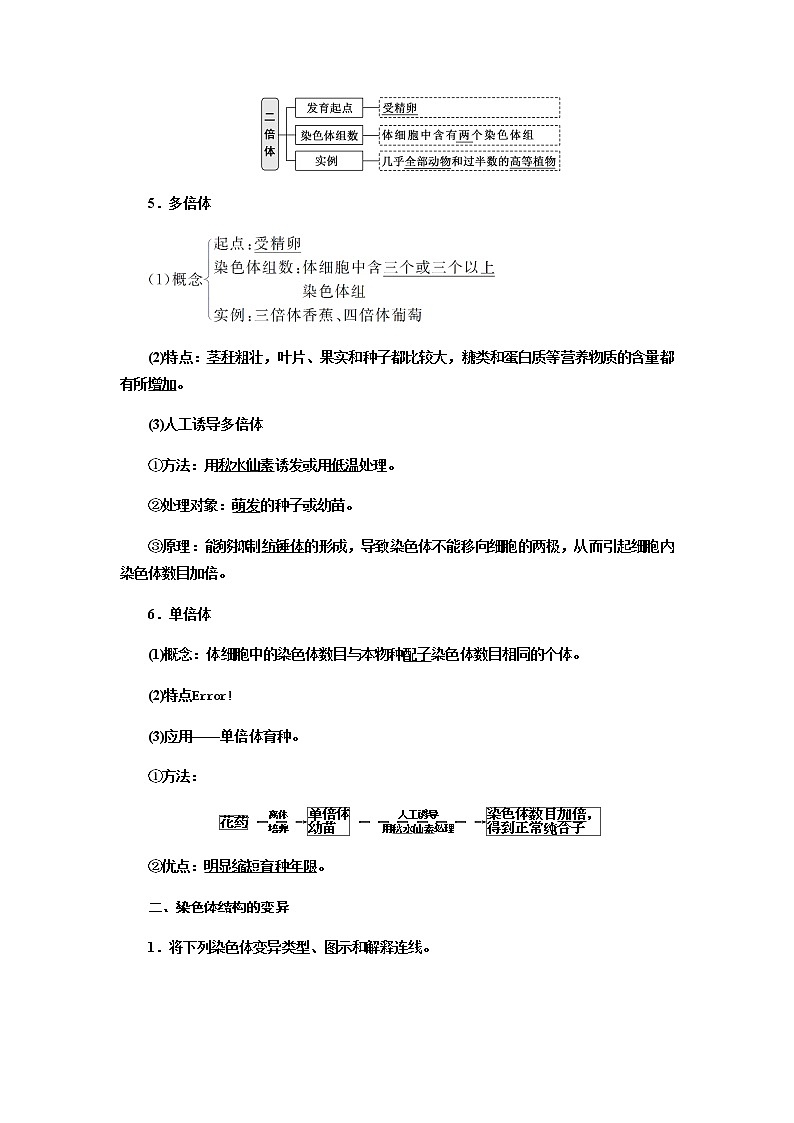 人教版高中生物必修二染色体变异学案02