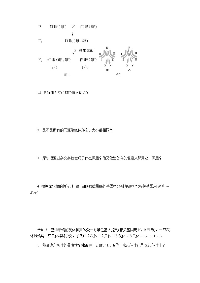 人教版高中生物必修二基因在染色体上学案第3页