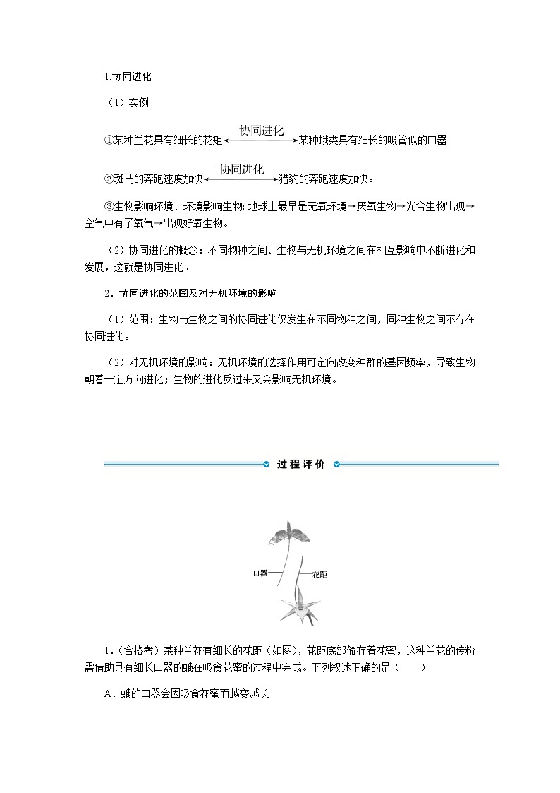 人教版高中生物必修二协同进化与生物多样性的形成学案第3页