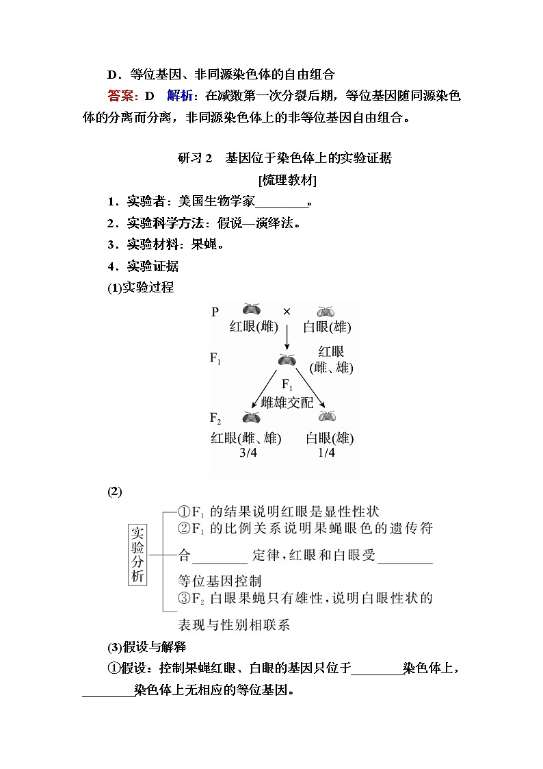 人教版高中生物必修2 2-2基因在染色体上学案第3页