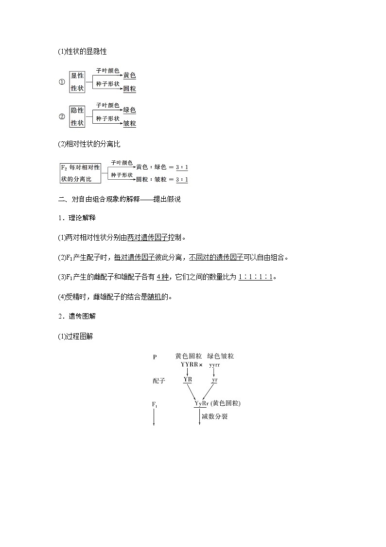 人教版高中生物必修二孟德尔的豌豆杂交实验(二)学案第2页