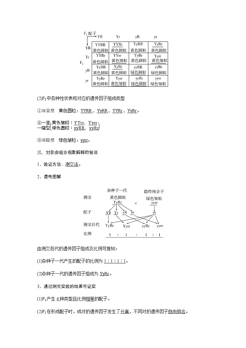 人教版高中生物必修二孟德尔的豌豆杂交实验(二)学案第3页