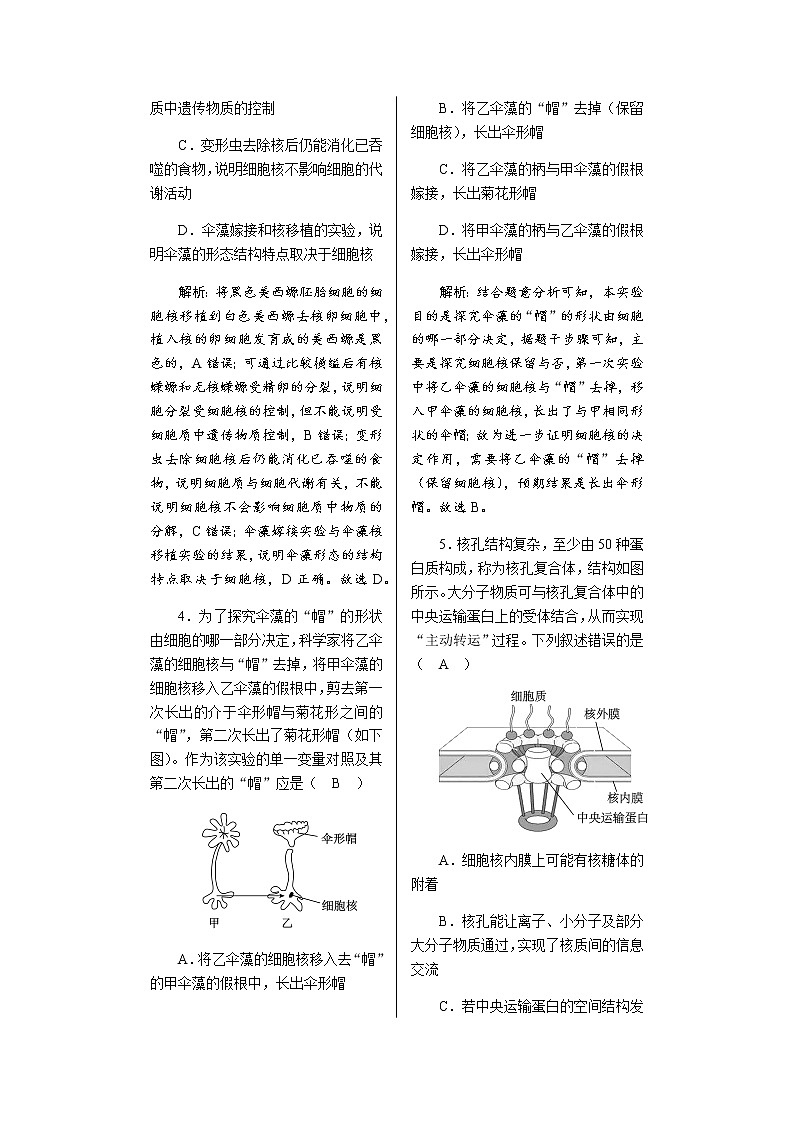 人教版高中生物必修1细胞核的结构和功能作业含答案第2页