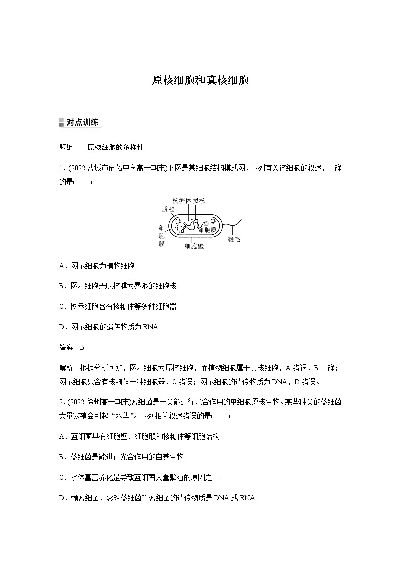 人教版高中生物必修一原核細(xì)胞和真核細(xì)胞作業(yè)含答案第1頁
