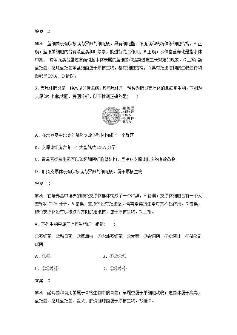人教版高中生物必修一原核細(xì)胞和真核細(xì)胞作業(yè)含答案第2頁