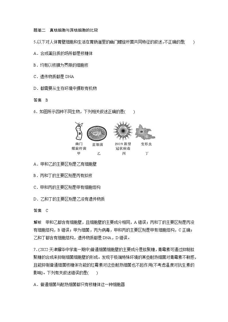 人教版高中生物必修一原核細(xì)胞和真核細(xì)胞作業(yè)含答案第3頁
