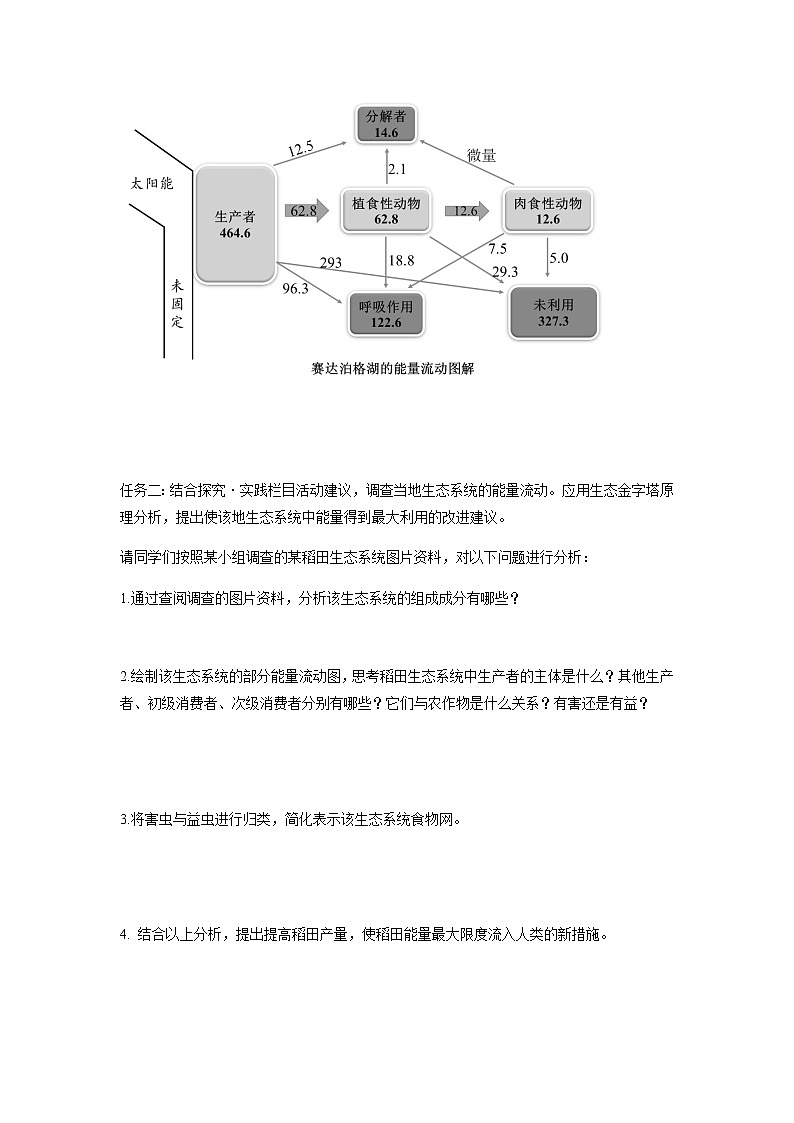 人教版(2019)高中生物选择性必修二3-2生态系统的能量流动(第2课时)学案02