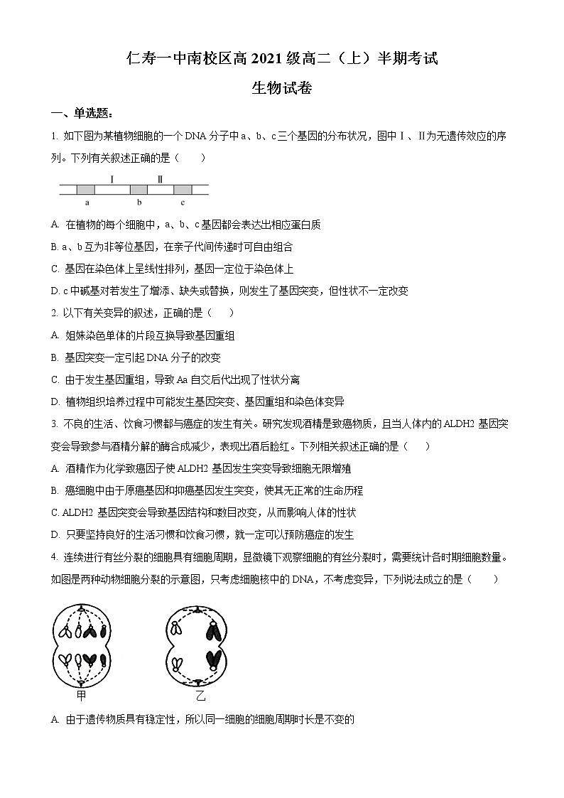 2023眉山仁寿一中校南校区高二上学期期中考试生物试题含解析01