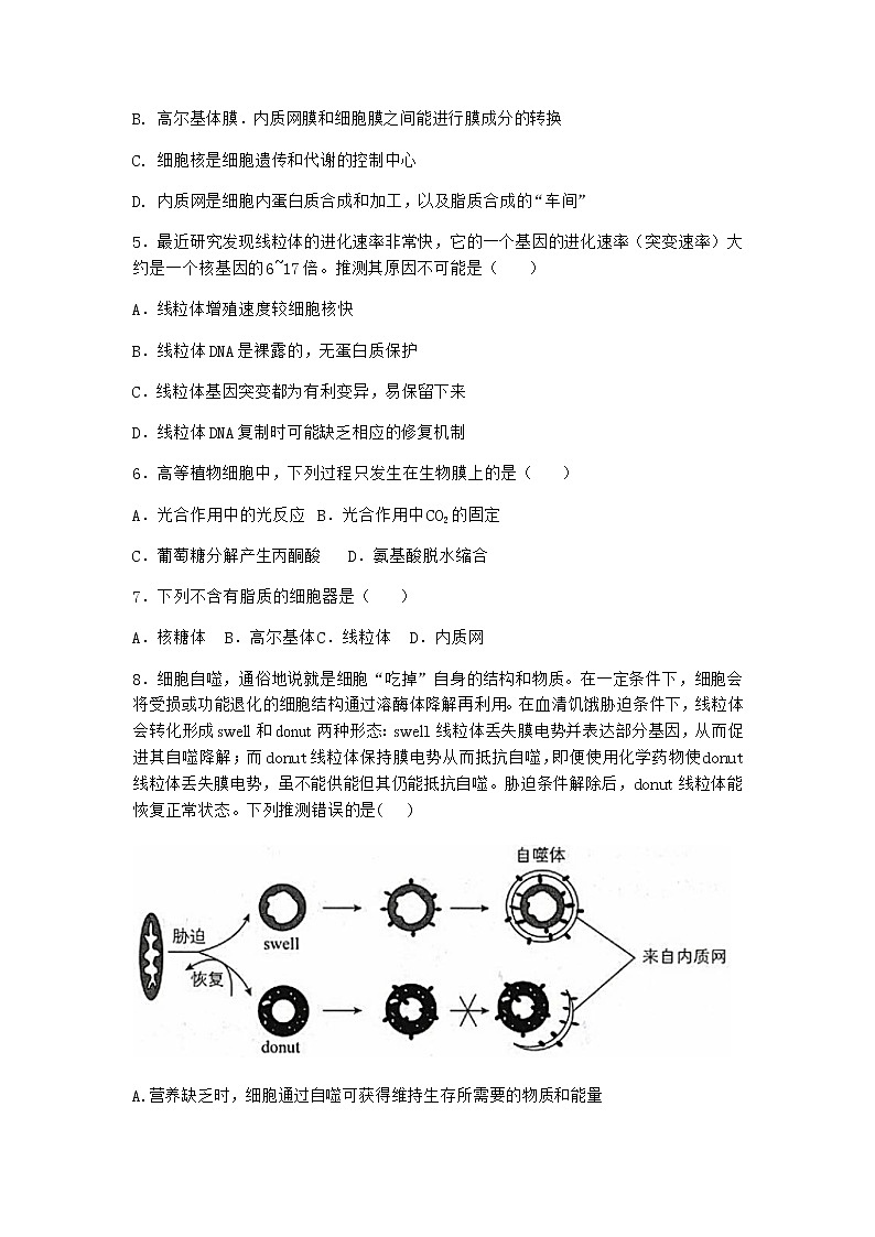 沪教版高中生物必修1第二节细胞内具有许多相对独立的结构优质作业含答案5第2页