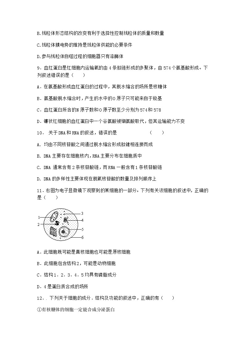 沪教版高中生物必修1第二节细胞内具有许多相对独立的结构优质作业含答案5第3页