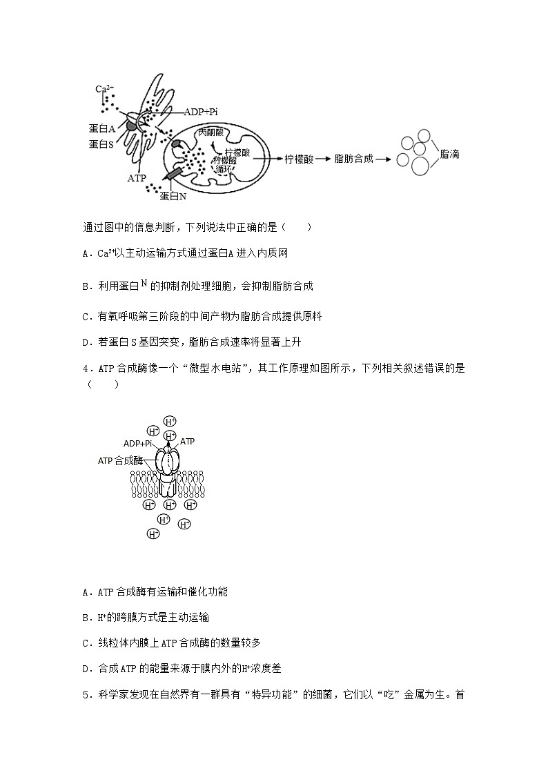 沪教版高中生物必修1第一节质膜参与物质交换和信息交流优质作业含答案第2页