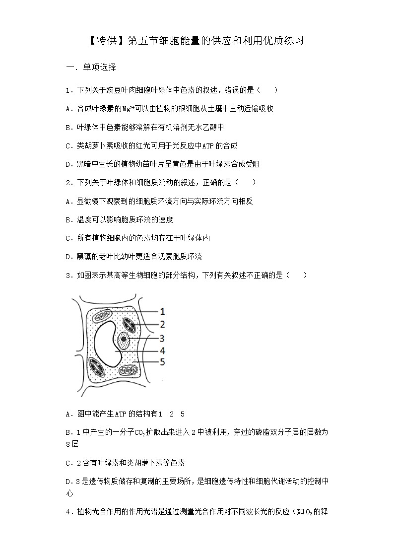 沪教版高中生物必修1第五节细胞能量的供应和利用优质作业含答案第1页