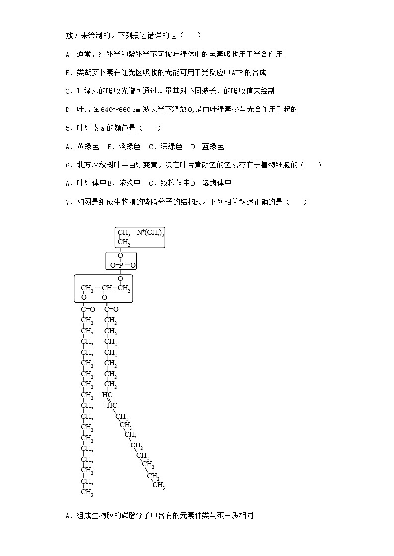 沪教版高中生物必修1第五节细胞能量的供应和利用优质作业含答案第2页