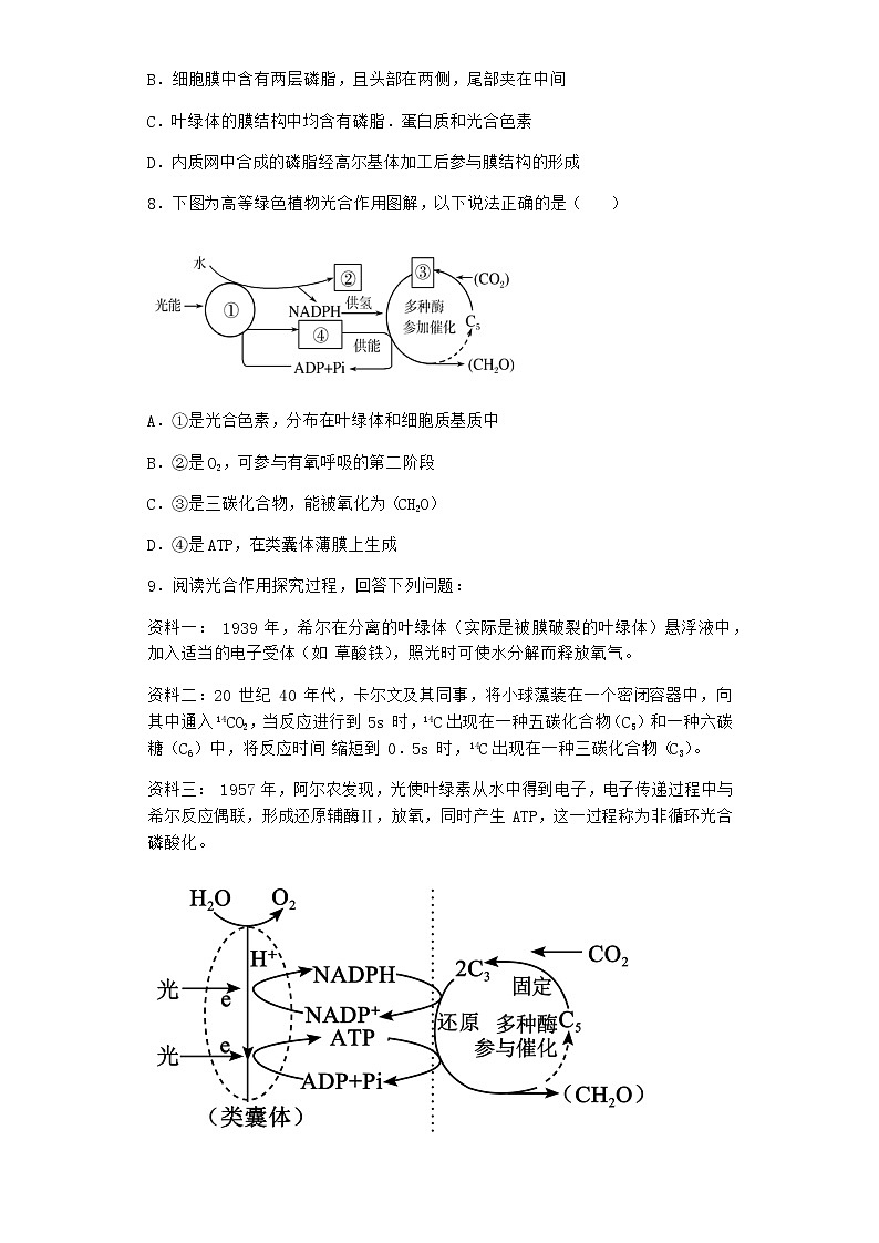 沪教版高中生物必修1第五节细胞能量的供应和利用优质作业含答案第3页