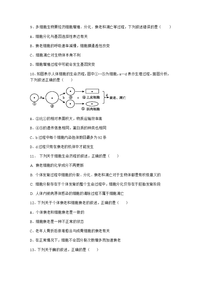 沪教版高中生物必修1第三节细胞衰老是自然的生理过程优质作业含答案203