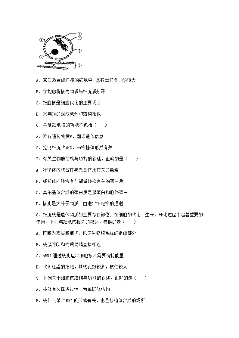 沪教版高中生物必修1第三节遗传信息主要储存在细胞核中优选作业含答案第2页