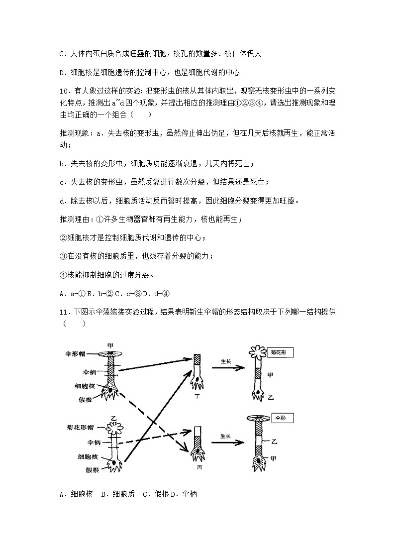 沪教版高中生物必修1第三节遗传信息主要储存在细胞核中优选作业含答案第3页