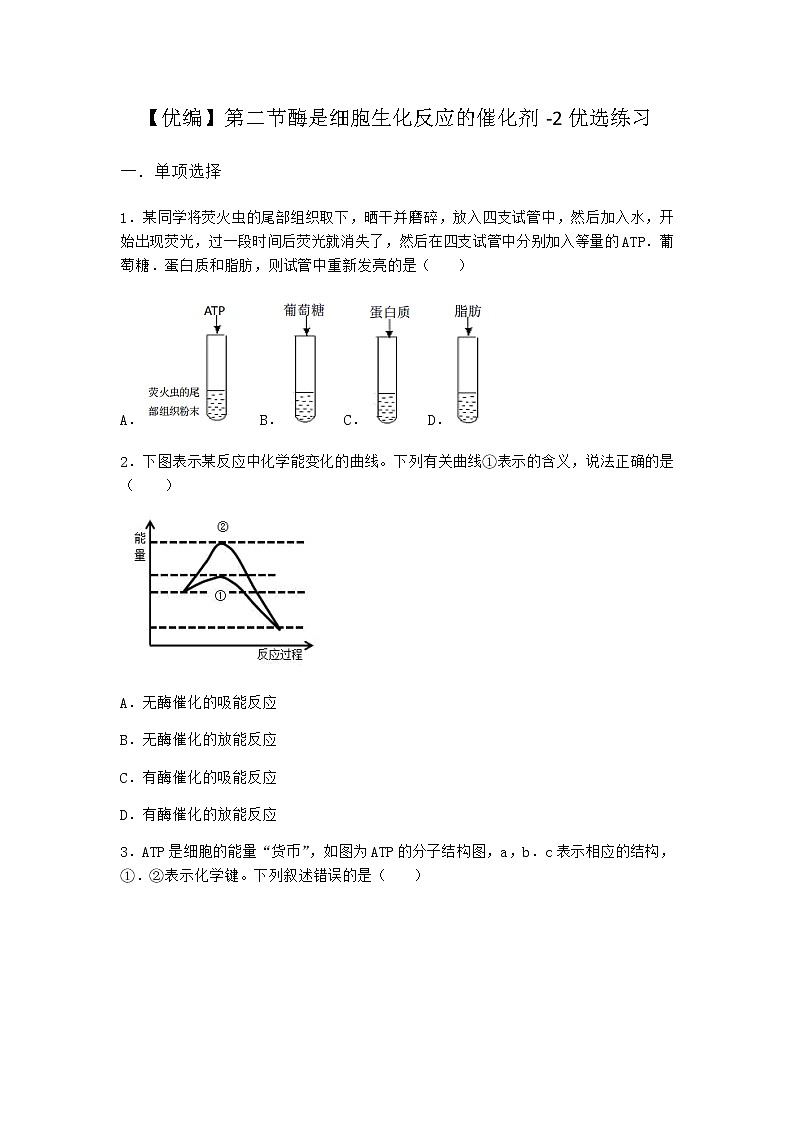 沪教版高中生物必修1第二节酶是细胞生化反应的催化剂优选作业含答案4第1页