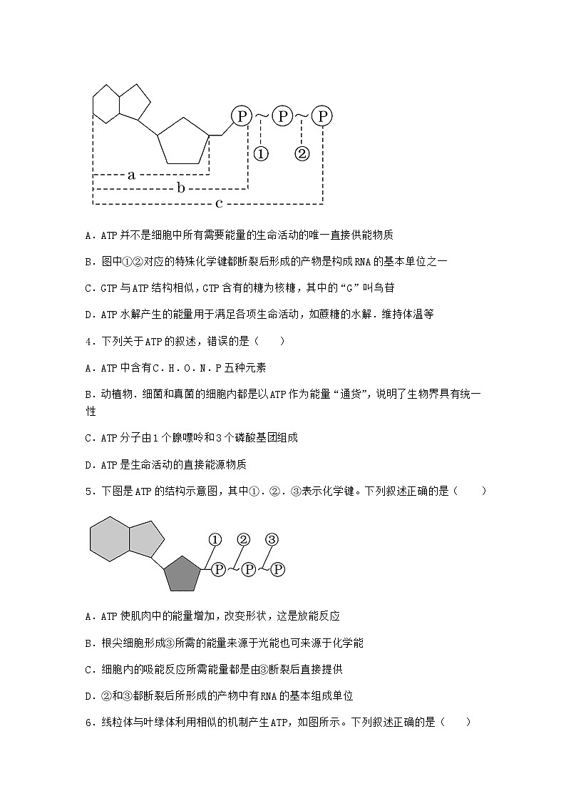 沪教版高中生物必修1第二节酶是细胞生化反应的催化剂优选作业含答案4第2页