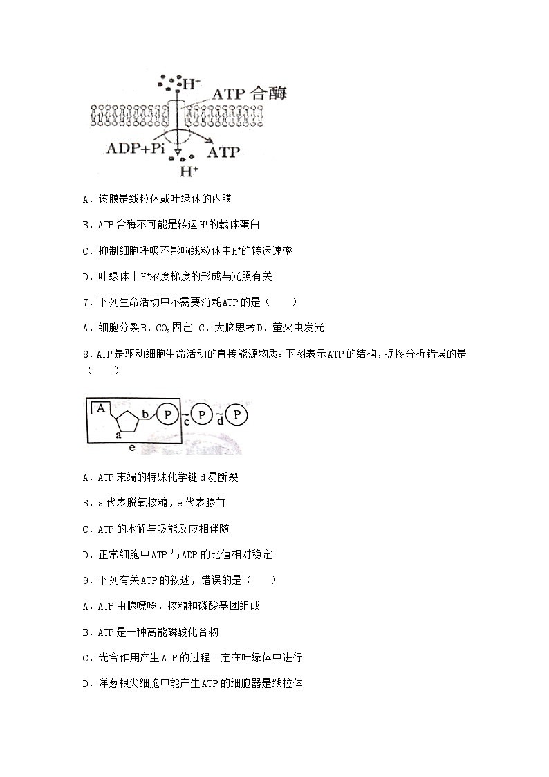 沪教版高中生物必修1第二节酶是细胞生化反应的催化剂优选作业含答案4第3页