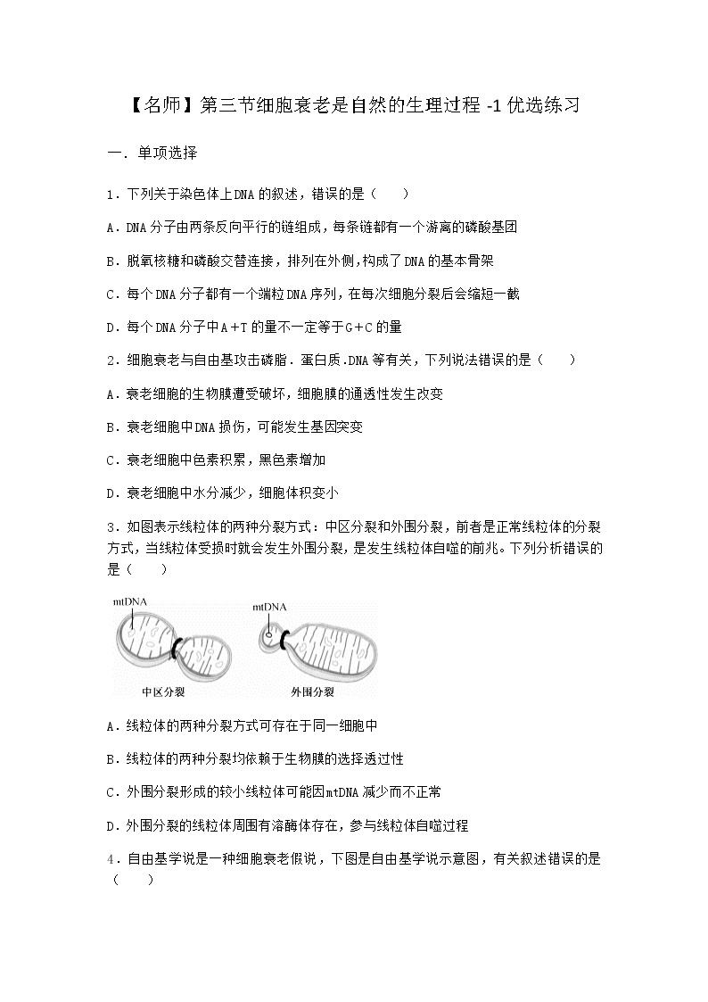 沪教版高中生物必修1第三节细胞衰老是自然的生理过程优选作业含答案201