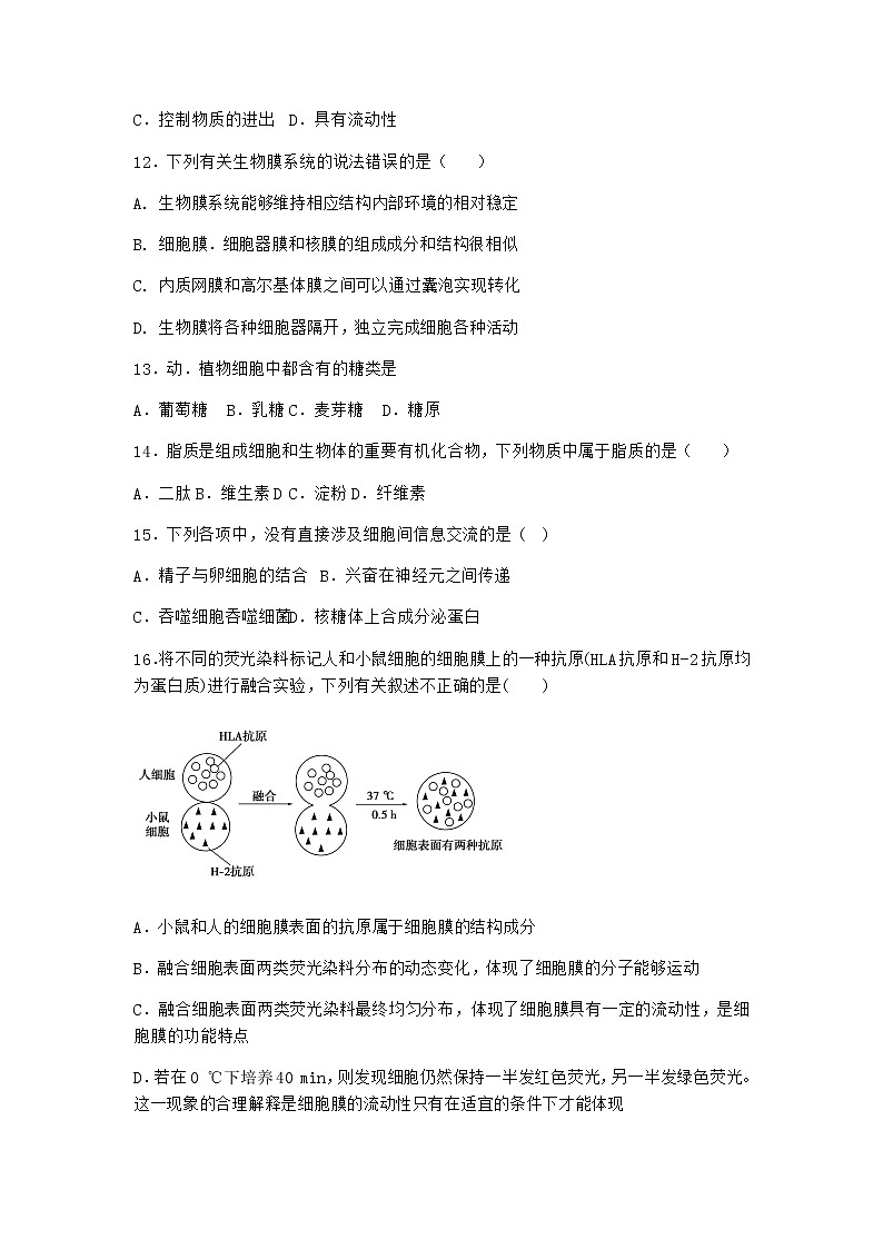 沪教版高中生物必修1第一节细胞由都由质膜包裹优质作业含答案2第3页