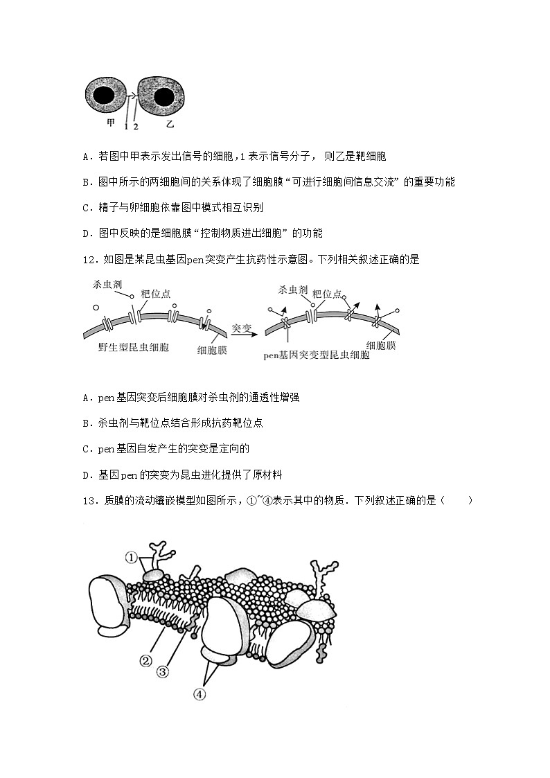 沪教版高中生物必修1第一节细胞由都由质膜包裹优选作业含答案1第3页