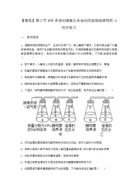 高中生物沪科版 (2019)必修1《分子与细胞》第三节 ATP是驱动细胞生命活动的直接能源物质课堂检测