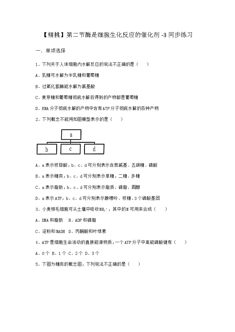 沪教版高中生物必修1第二节酶是细胞生化反应的催化剂同步作业含答案01