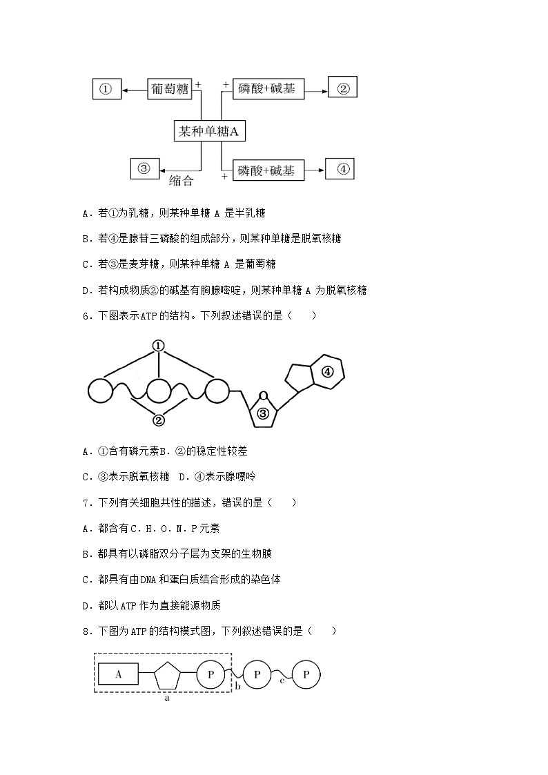 沪教版高中生物必修1第二节酶是细胞生化反应的催化剂同步作业含答案02