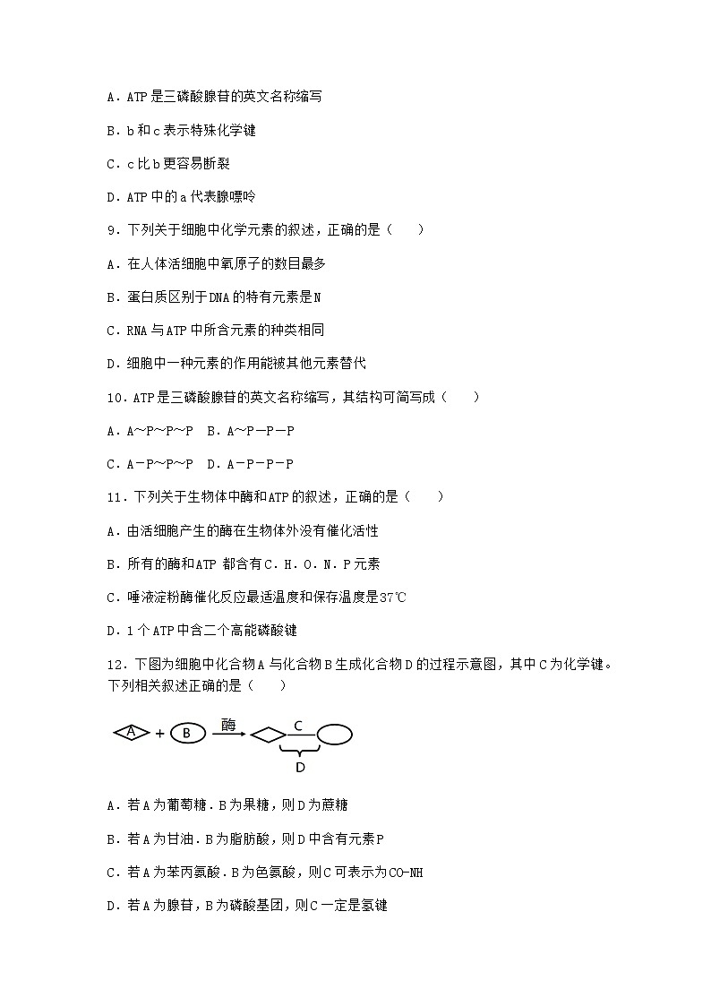 沪教版高中生物必修1第二节酶是细胞生化反应的催化剂同步作业含答案03