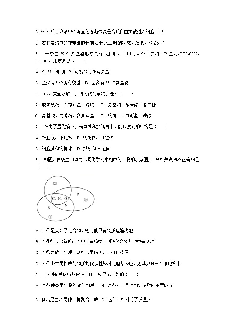 沪教版高中生物必修1第一节细胞由多种元素和化合物组成作业含答案3第2页