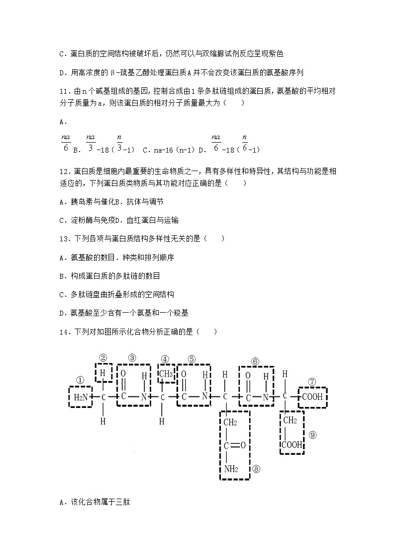 沪教版高中生物必修1第四节细胞的功能主要由蛋白质完成作业含答案1第3页